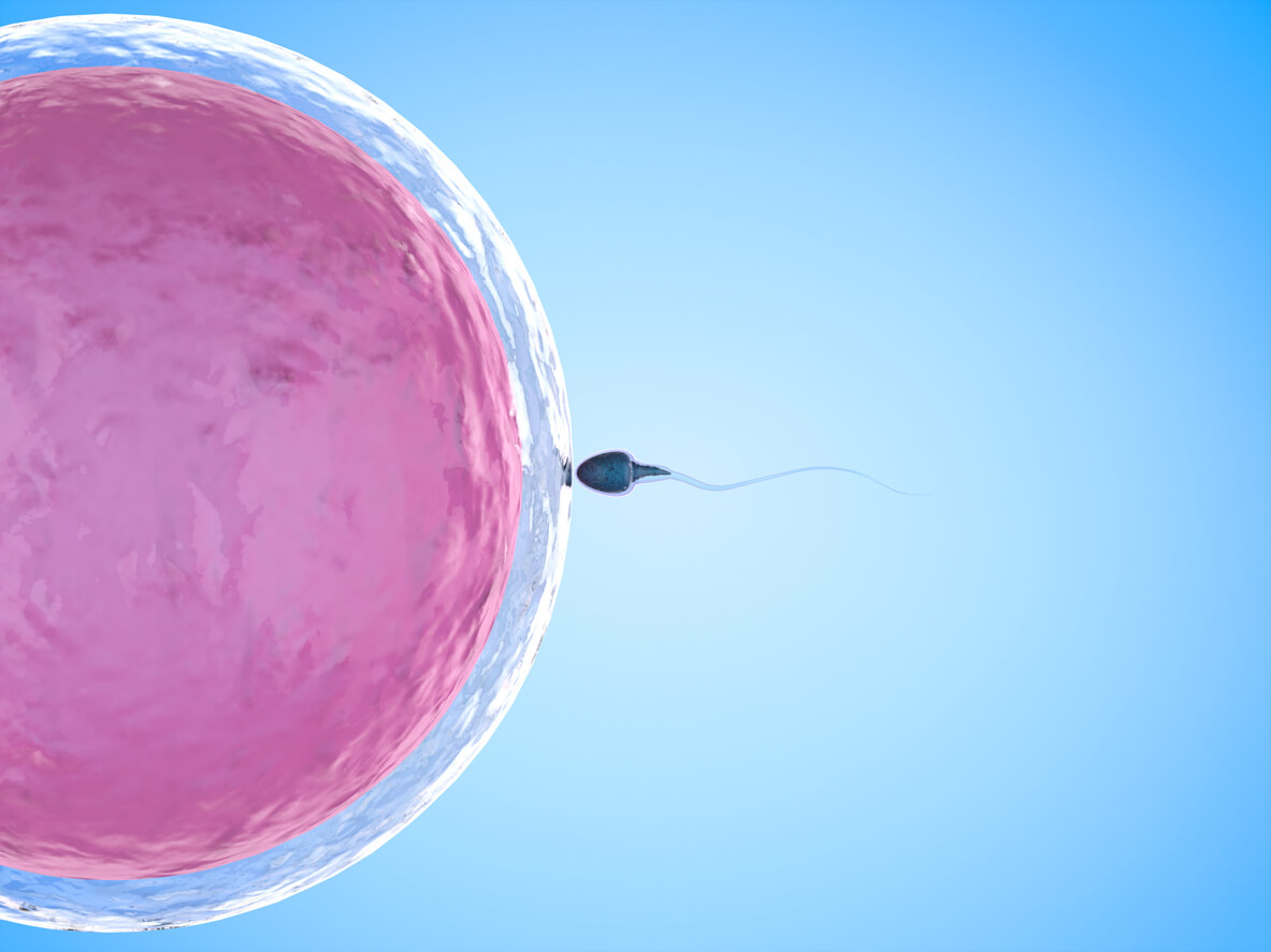Il congelamento degli ovuli: a quale età conviene effettuare la procedura?