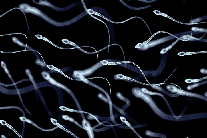 Come aumentare gli spermatozoi in qualità e quantità - RAPRUI