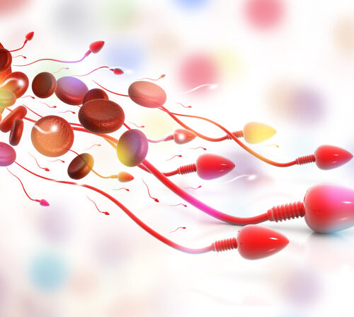 Sangue nello sperma, cause e rimedi dell’emospermia